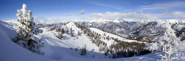 Photo of La Foret Blanche