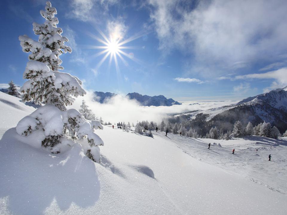 Mezzana Photo: 1 of 1