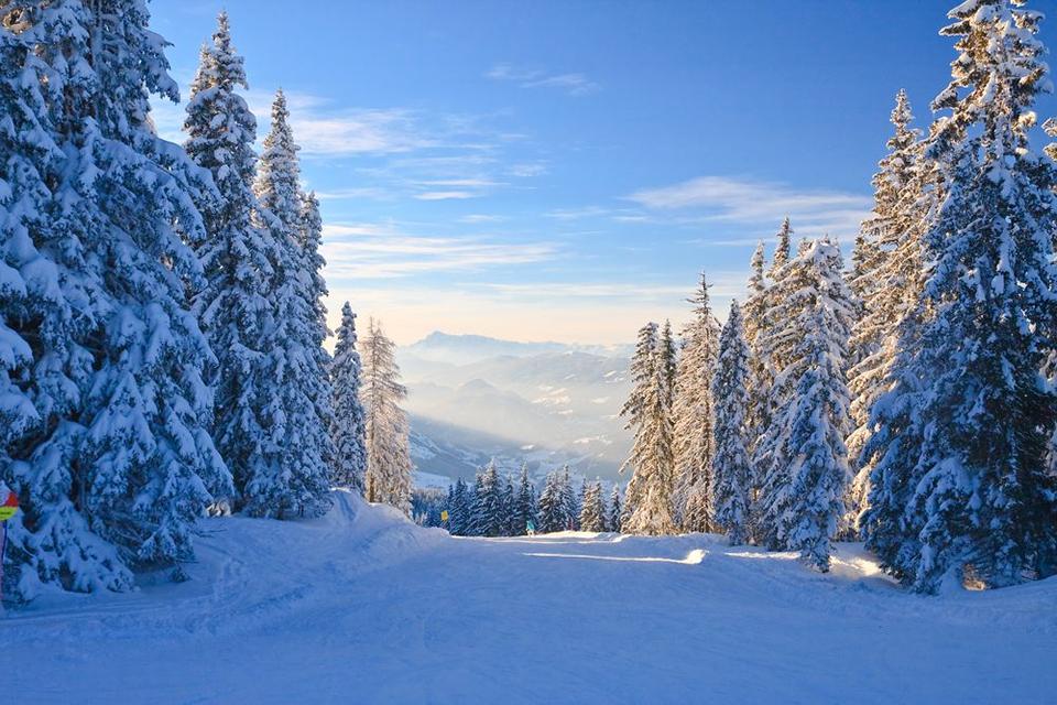 Schladming-Dachstein - Ski Amadé Photo: 2 of 4