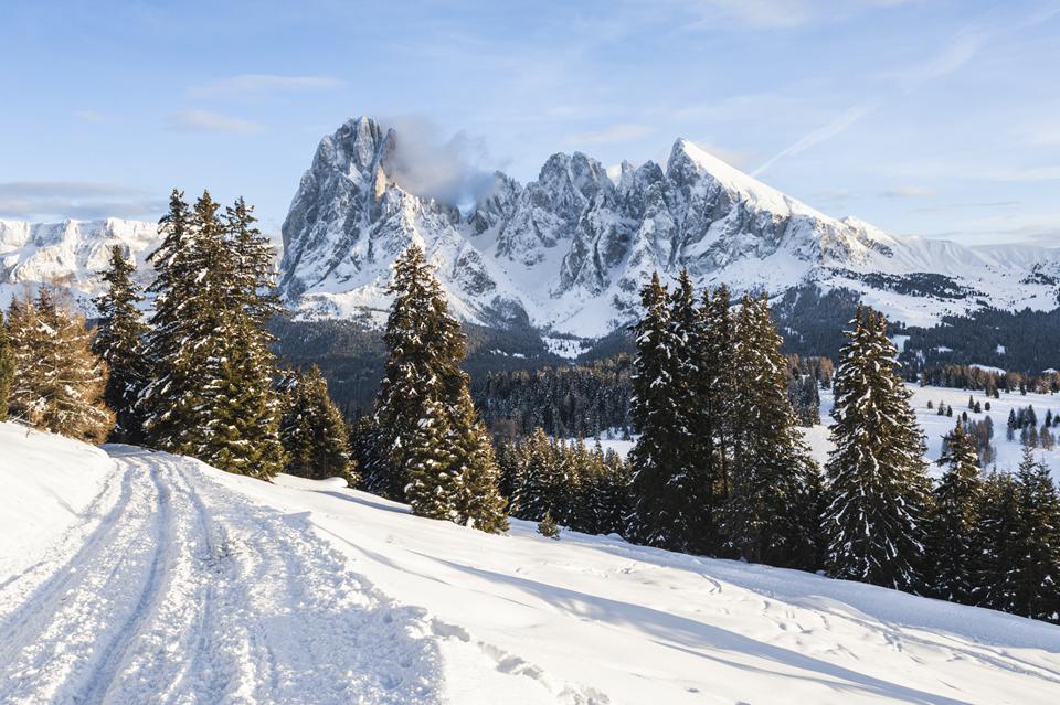 Seiser Alm Photo: 2 of 2