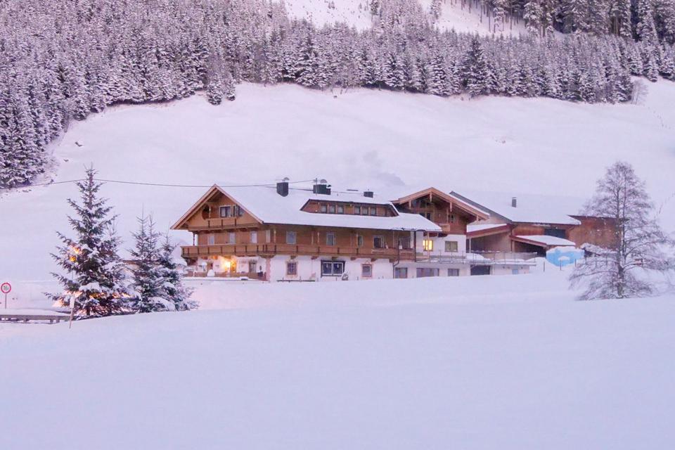 Apartments Schonachhof