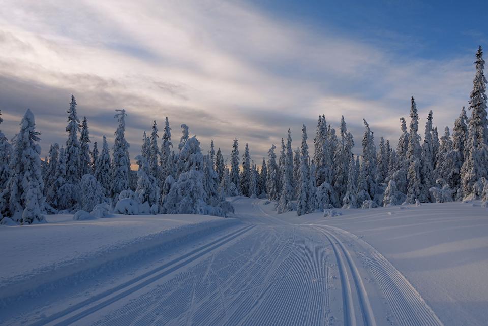 Trysil Photo: 2 of 2
