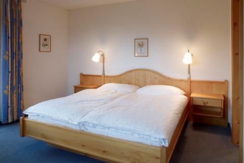 Hotel Alpina Parpan – photo 3