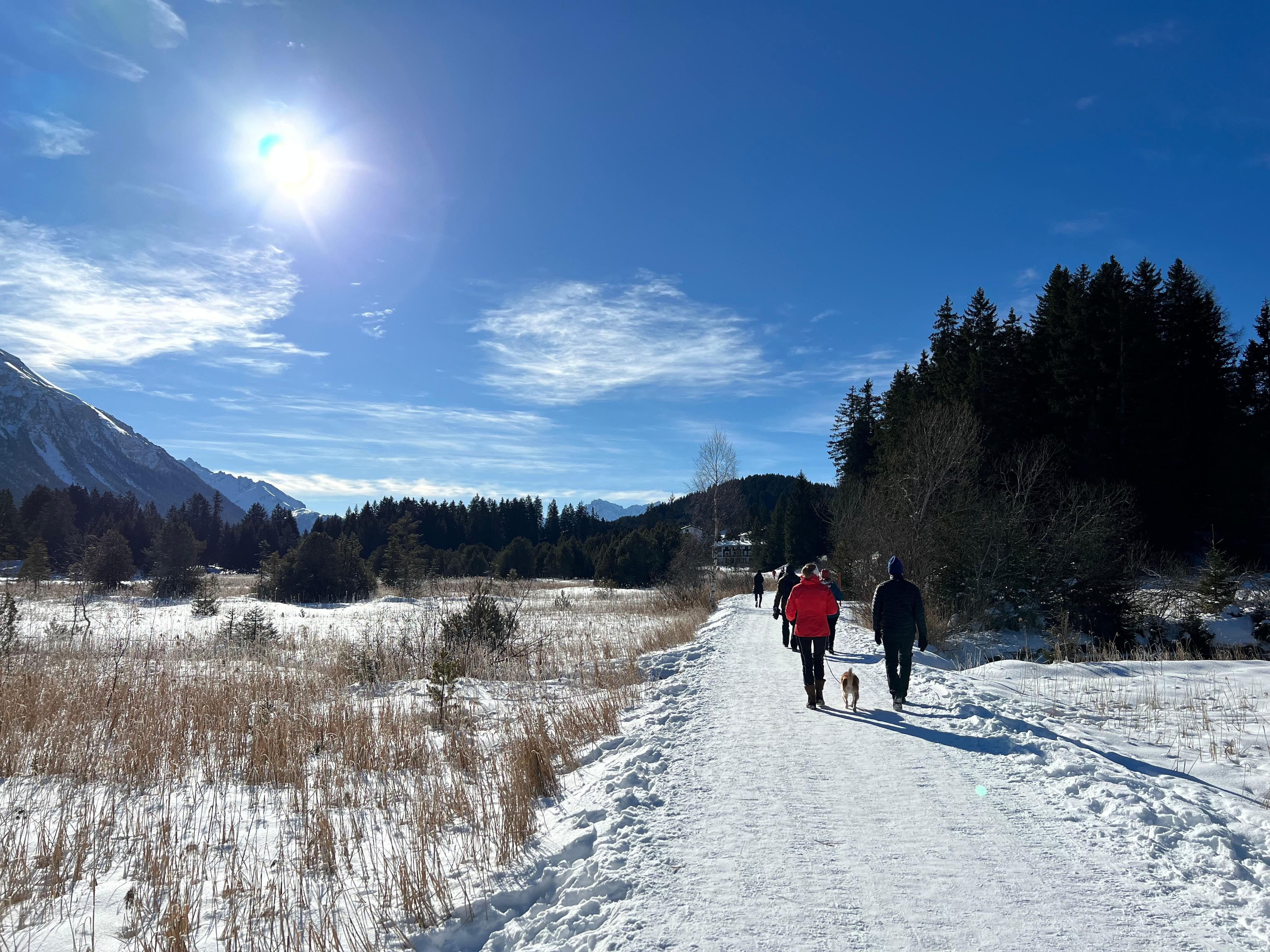 Parpan Photo: 4 of 4