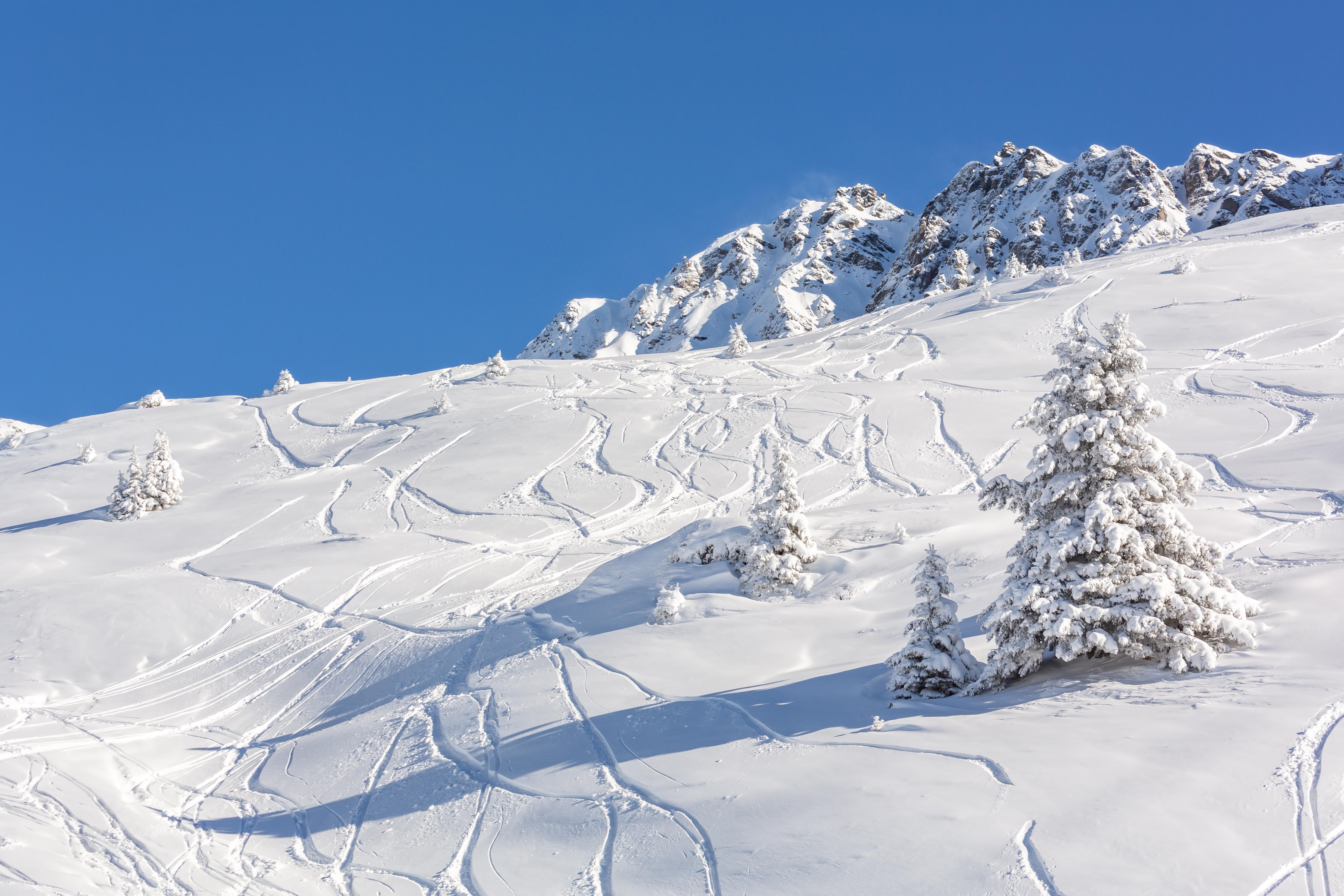 Parpan Photo: 3 of 4