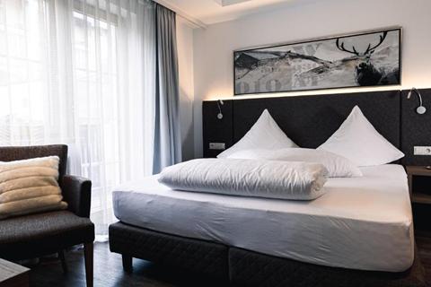 Hotel Alpina – photo 2