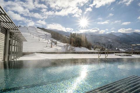 Forsthofalm Holzhotel – photo 4
