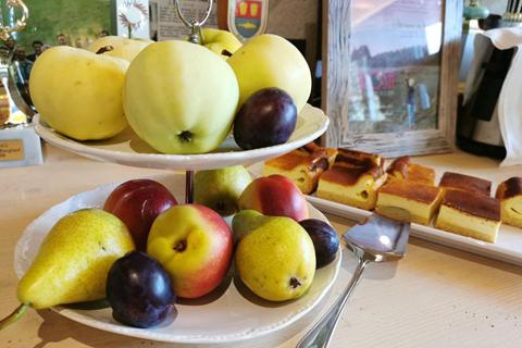Oberauer Wagrain Die Eco Familien Hotelpension – photo 3